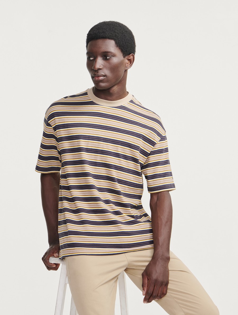 Aigle Gestreept Crew Neck T-shirts Heren Bruin | UQ681